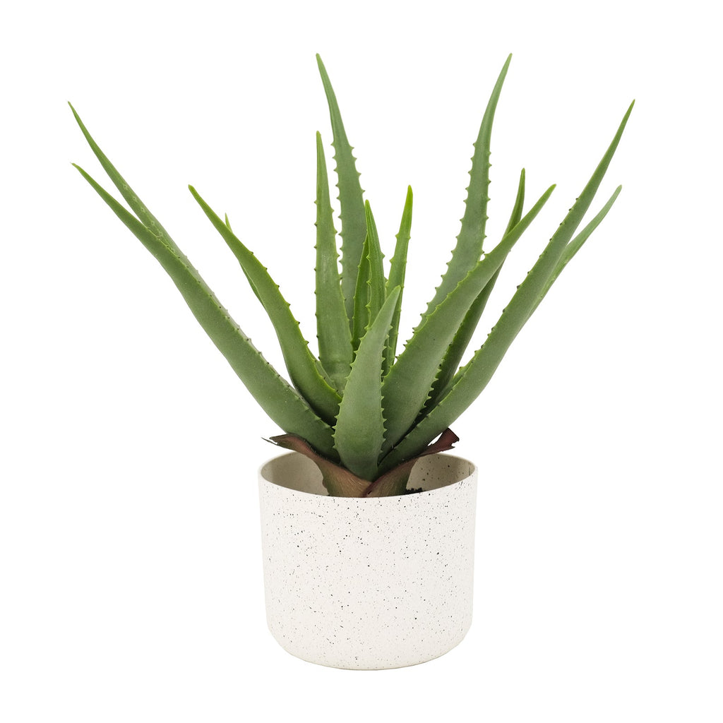 Artificial Aloe Plant