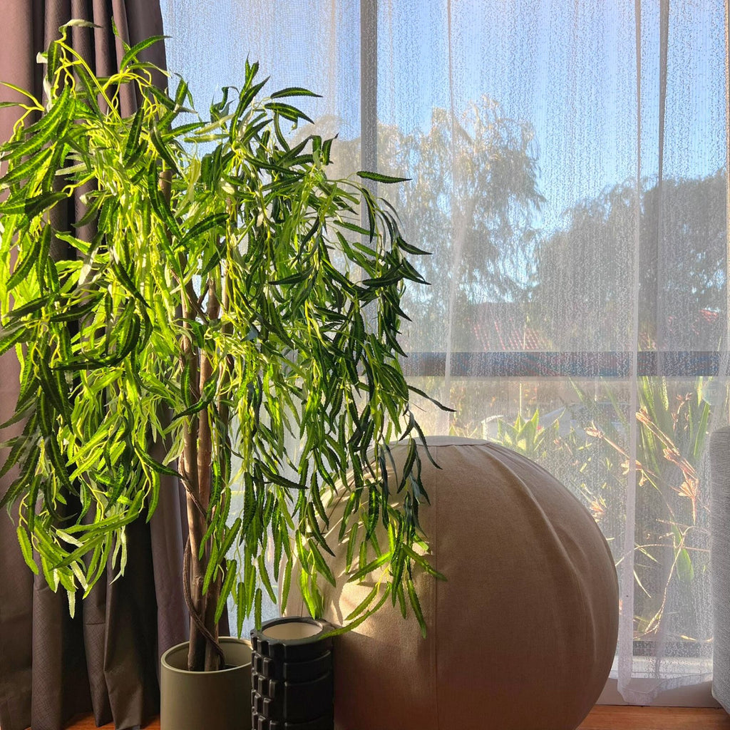 Weeping Willow Tree 120cm