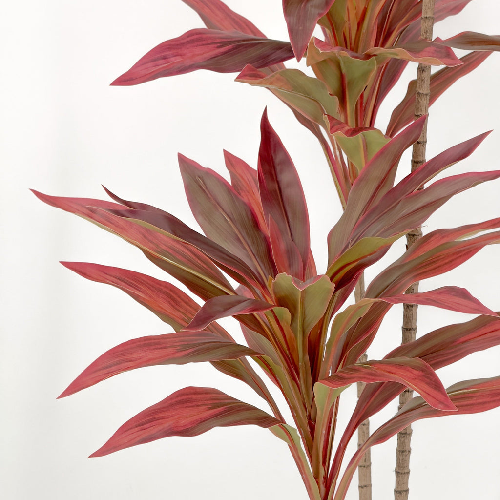 dracaena with red leaves Artificial Dracaena Plant