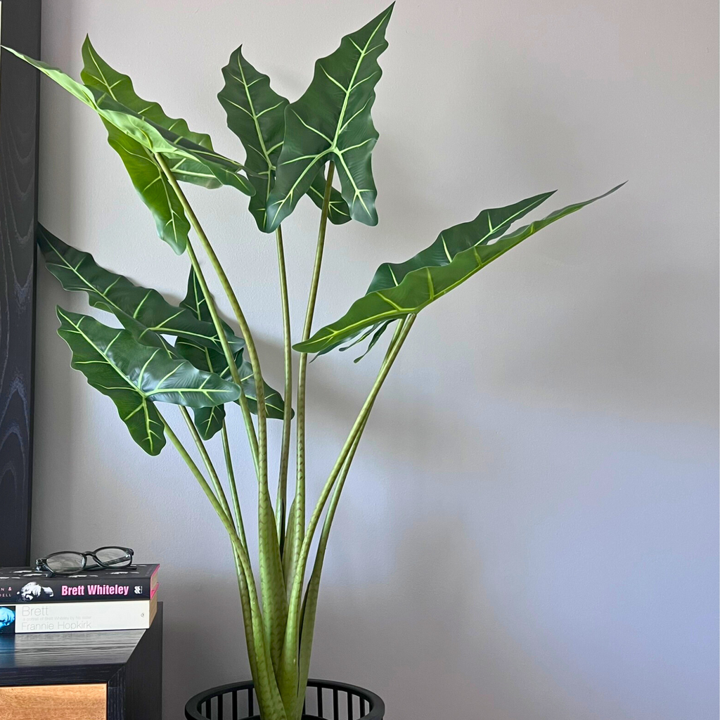 Close-up styled artificial alocasia elephant ears plant, featured next to books and reading glasses