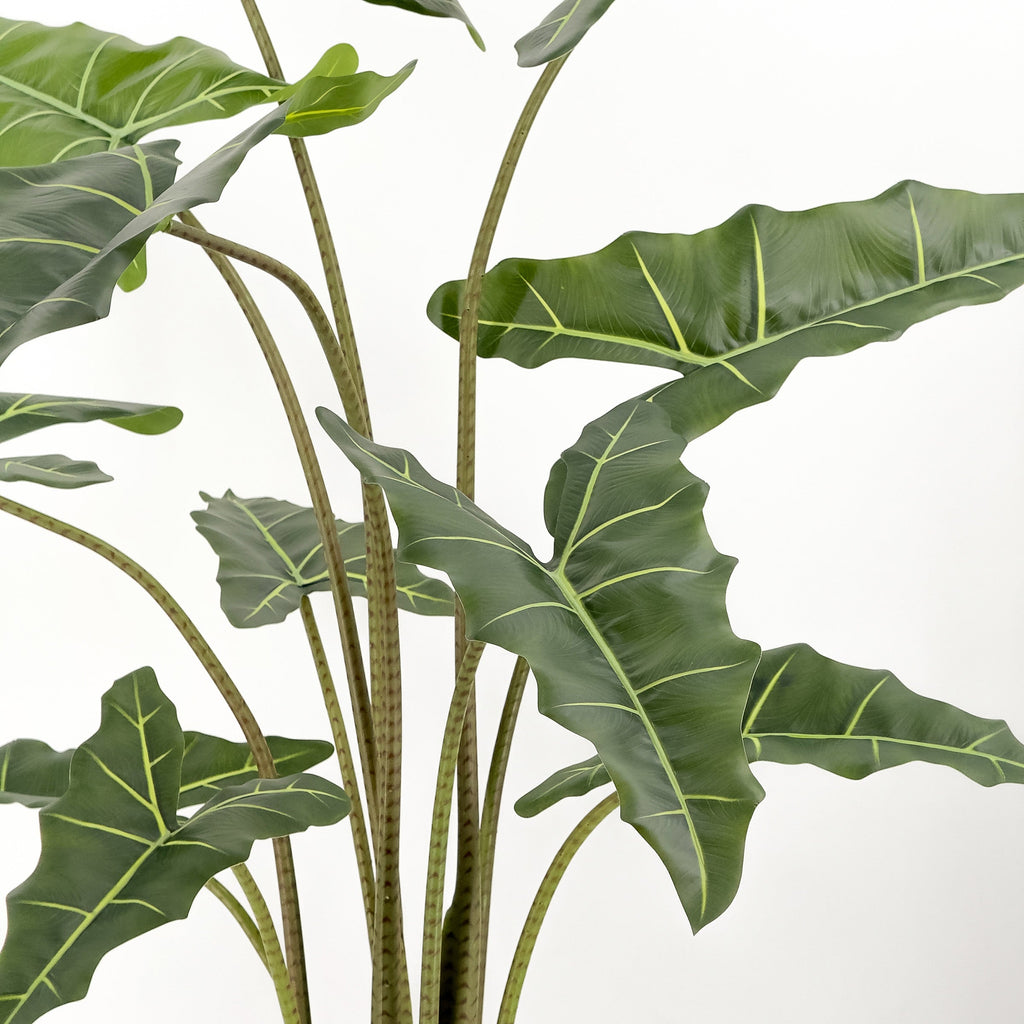 Large Artificial Plants