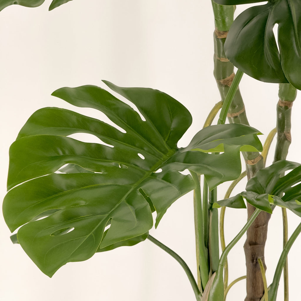 Large Artificial Monstera Plant 150cm  HG Living Co