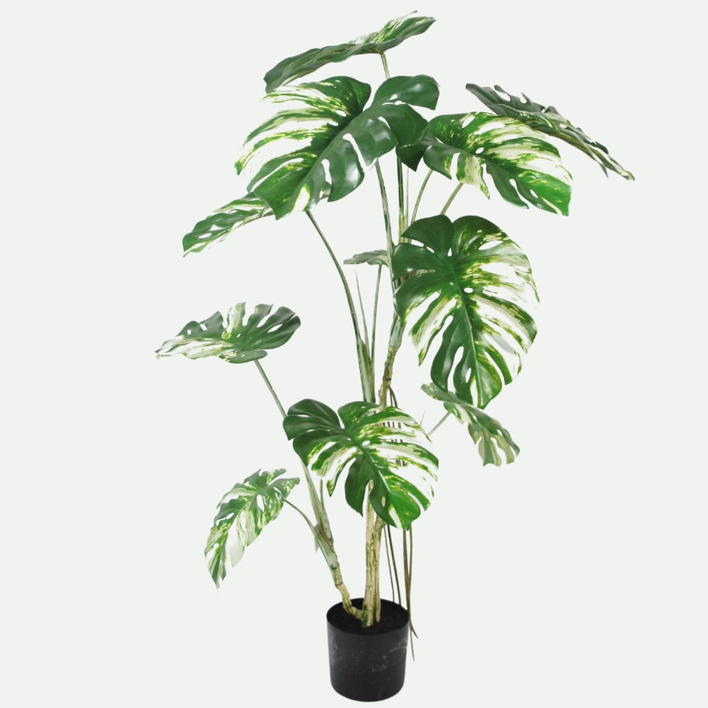 Large Artificial Variegated Monstera Plant 150cm