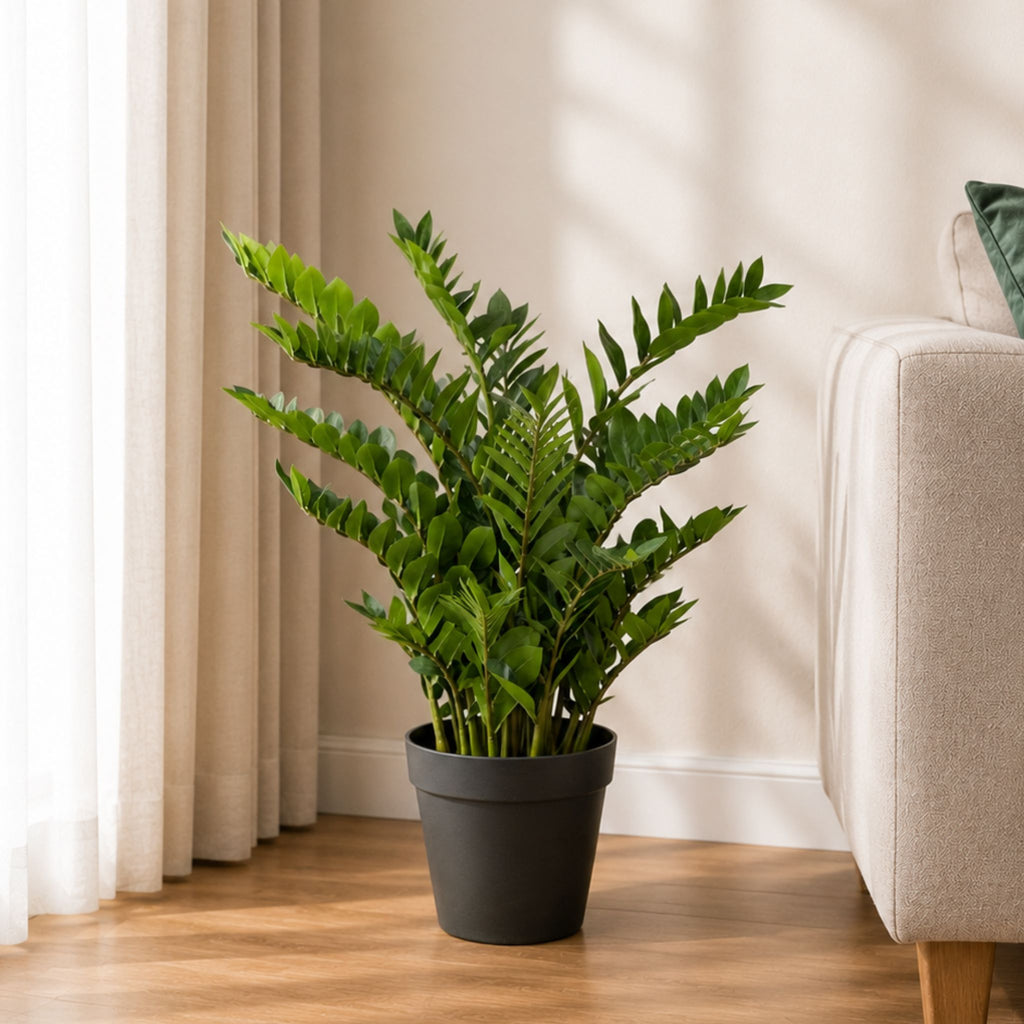 Artificial ZZ (Zanzibar) Plant 115cm