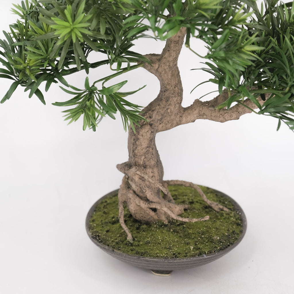 Artificial Plant Buddhist Pine Bonsai (45cm) – HG Living Co