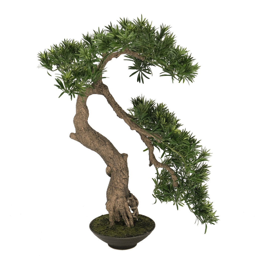 bonsai han kengai Artificial Plant Buddhist Pine Bonsai