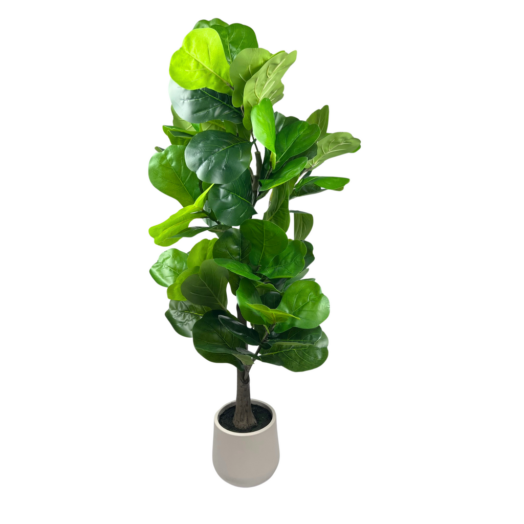 Artificial Fiddle Leaf tree with vibrant green leaves on a white background 