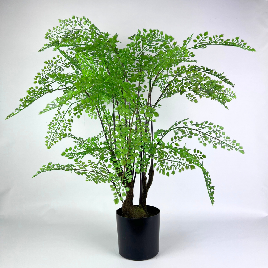 Full view of the artificial Maiden hair fern 