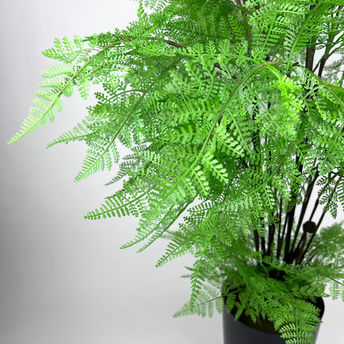 Rabbit's Foot Fern Artificial 90cm – HG Living Co