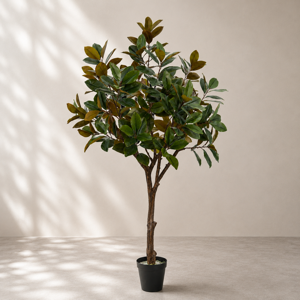 Magnolia Tree 250cm