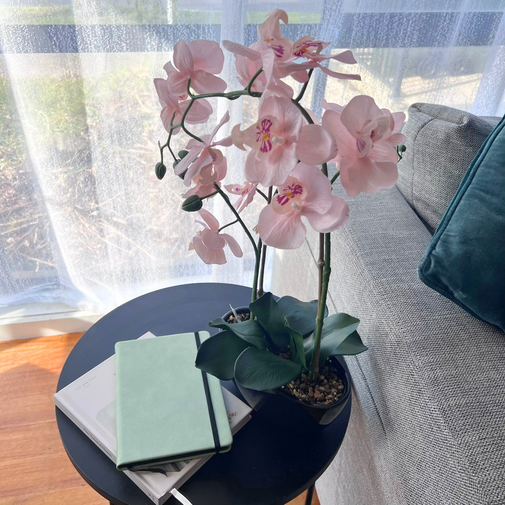 Pink orchid in a pot on a small round table with books, next to a gray sofa with teal cushions.