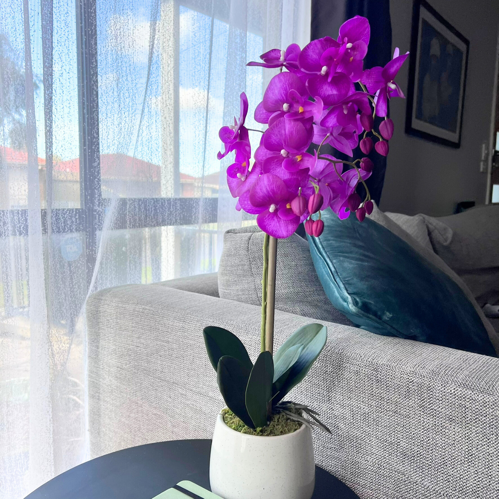 Purple orchid in a pot on a table with a couch and window in the background