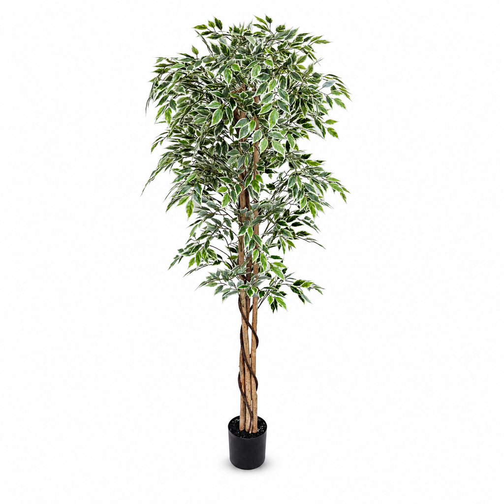 Ficus Tree Artificial Variegated Leaves 180cm with Wooden Trunk