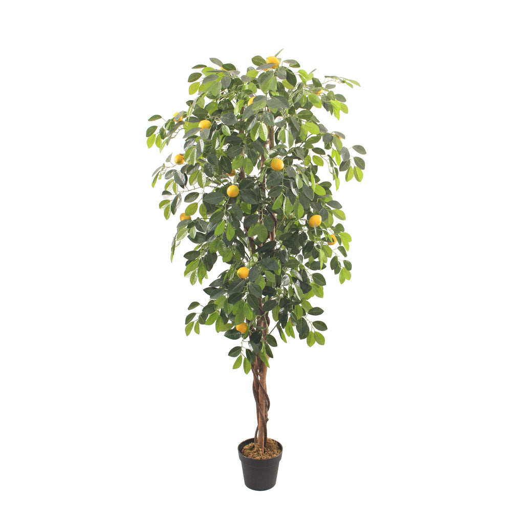 Lemon Tree Artificial 180cm with Real Wooden Trunk