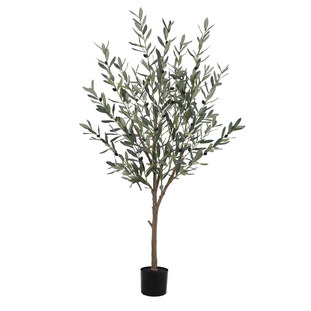 150cm Artificial Olive Tree with muted green leaves and realistic olives in a black pot against a white background.