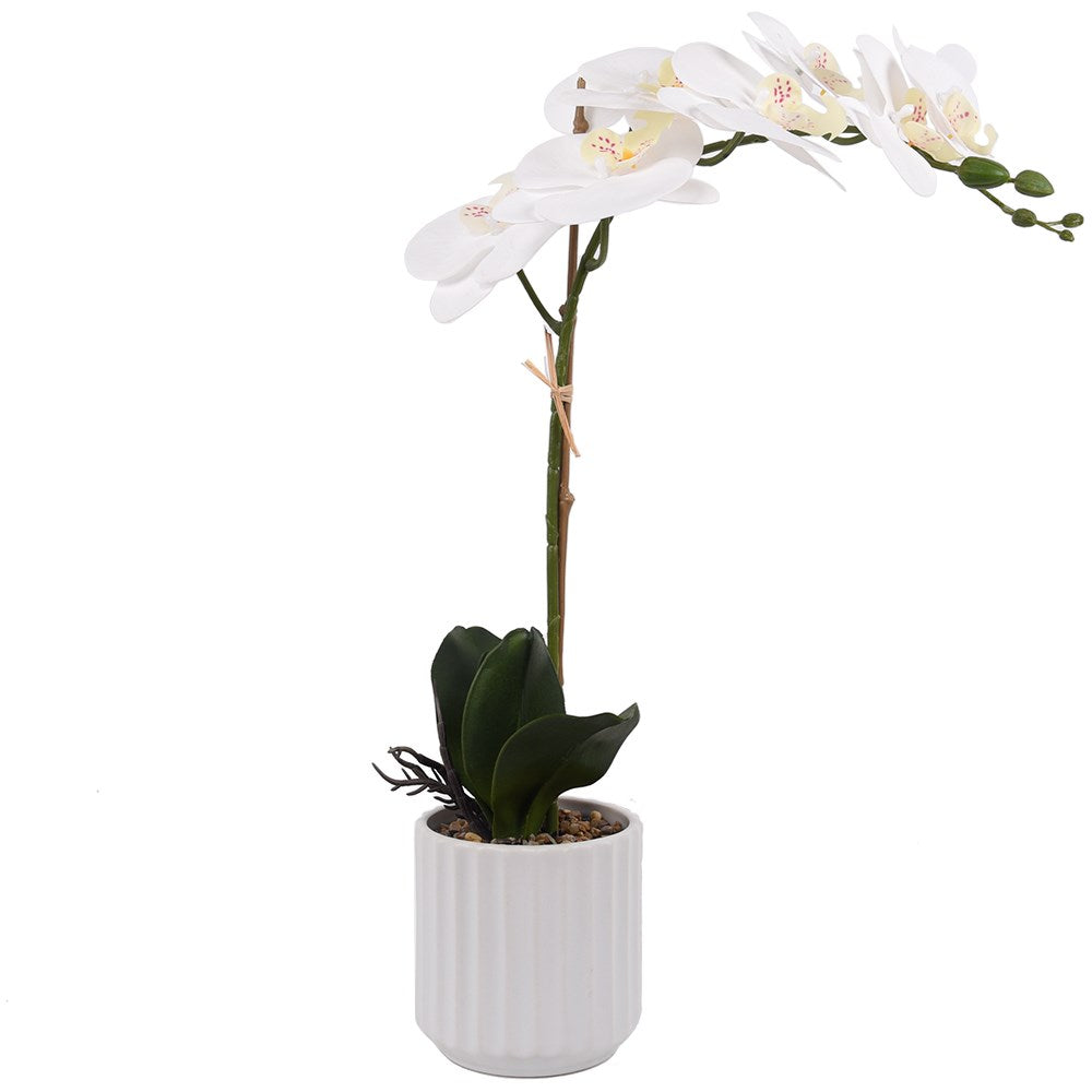 Artificial Phalaenopsis Orchid in White Planter - Ivory 52cm