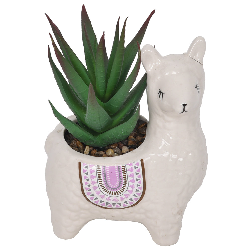 Lucia the Llama Succulent in Ceramic Pot 17cm