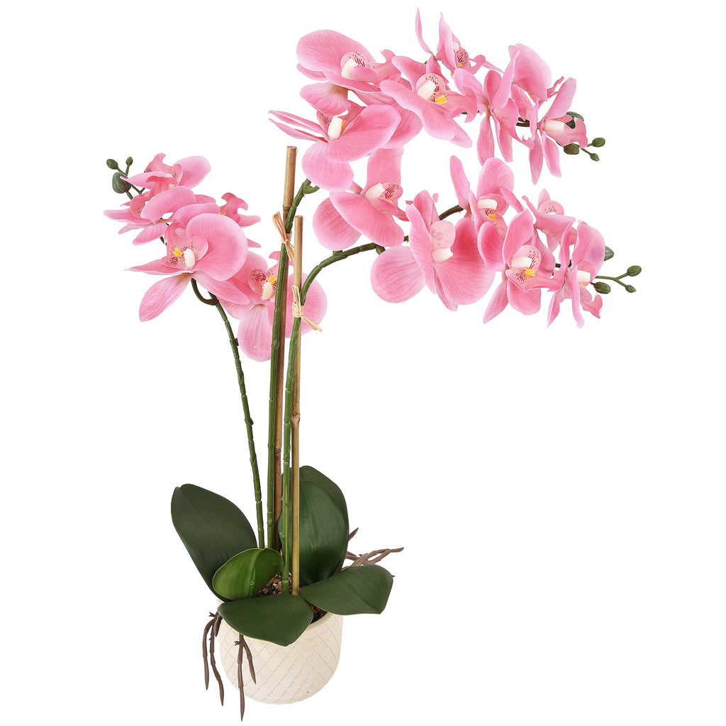 Phalaenopsis Orchid in White Planter Pink 58cm