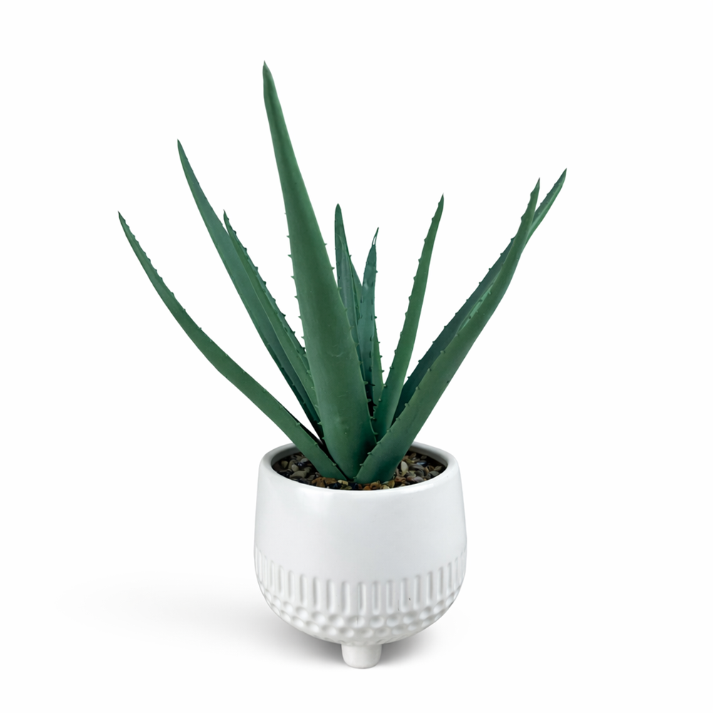 Artificial Aloe Vera Plant in White Footed Pot - Green 36cm