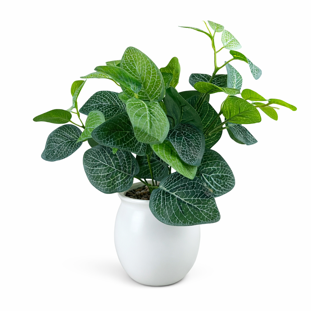 Artificial Nerve Plant in White Pot - 42cm