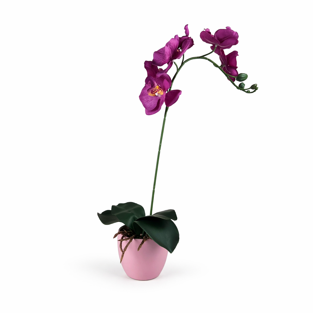 Artificial Phalaenopsis Orchid in Pink Pot - Deep Purple 61cm