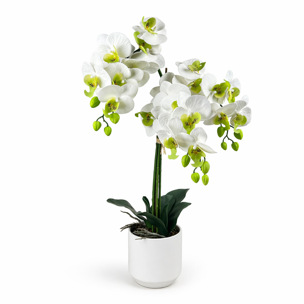 Artificial Phalaenopsis Orchid in White Planter - White 65cm