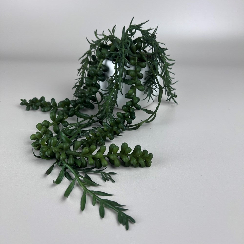 Mixed Trailing Succulent in Ceramic Pot - Dark Green
