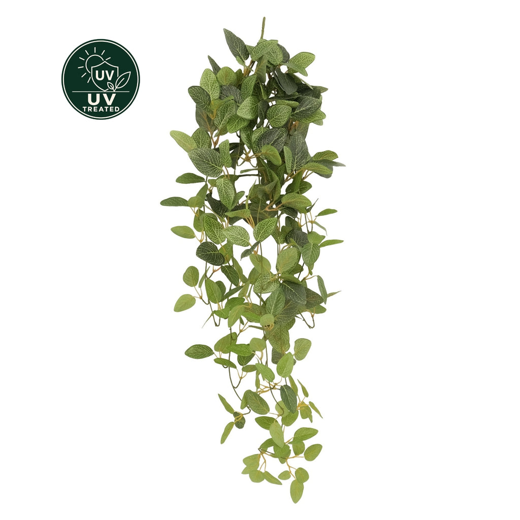 Nerve Plant Plug-In Stem (UV Treated) - 90cm