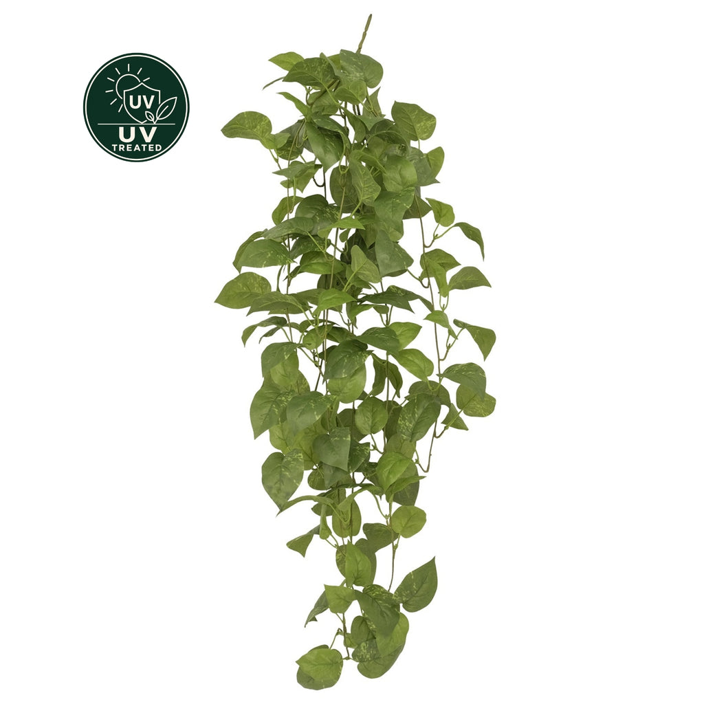 Pothos Plug-in Stem (UV Treated) - 90cm