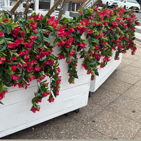 Hanging bougainvillea multiple pink artificial stem plants in white planter boxes