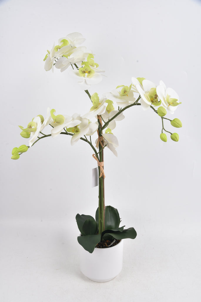 65cm Artificial Phalaenopsis White Orchid and greenery in a modern white planter against a plain background.