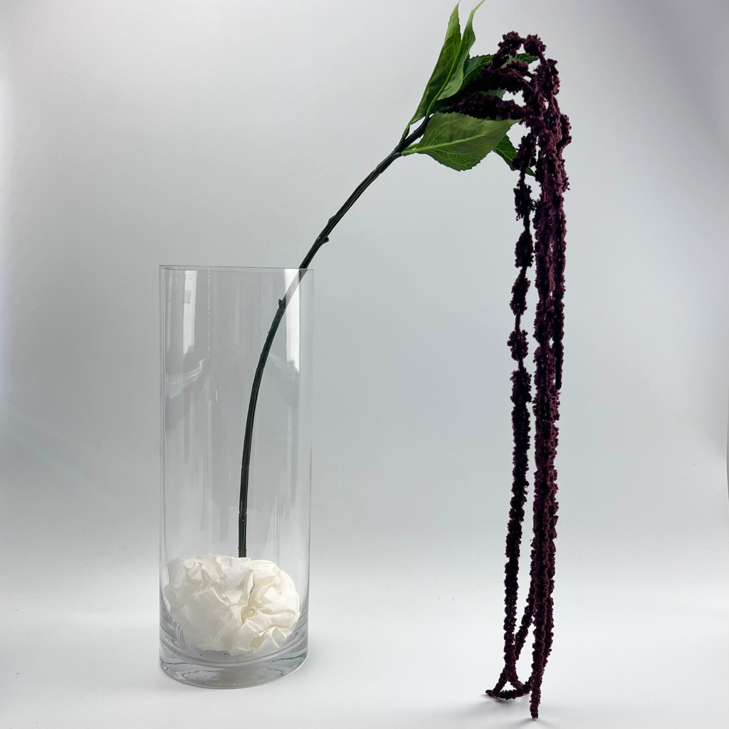 Clear glass vase with a trailing burgundy amaranthus flower on a light gray background