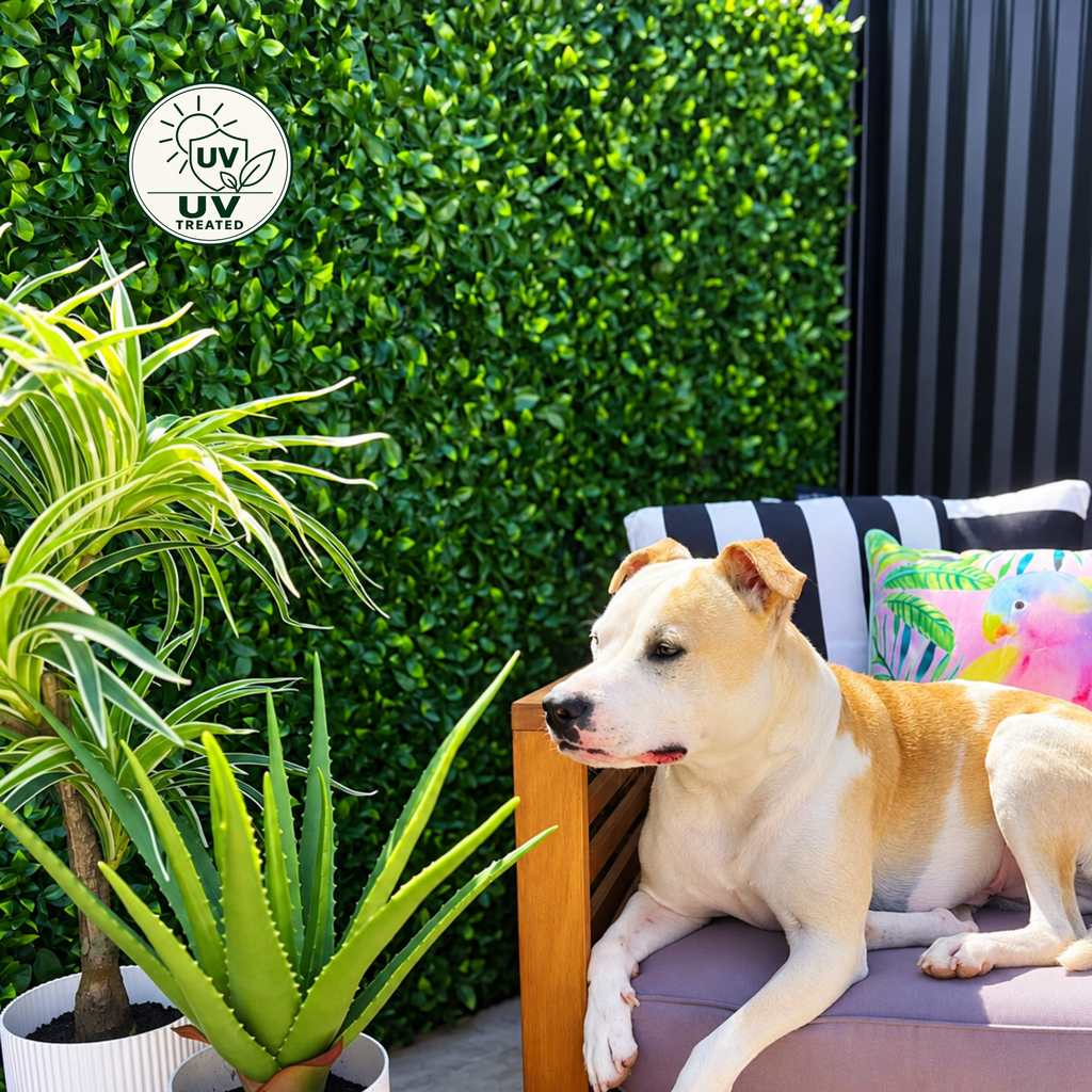 Artificial green hedge wall creating privacy in a modern outdoor patio, with a dog relaxing on a wooden sofa beside potted plants.