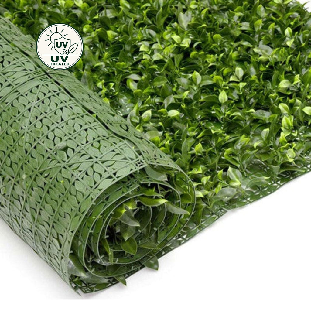 Artificial Hedge Roll (UV Treated) - Pittosporum 300x100cm