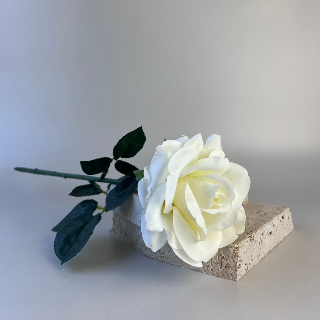 White Ivory Artificial rose carefully assembled on top of flat stones