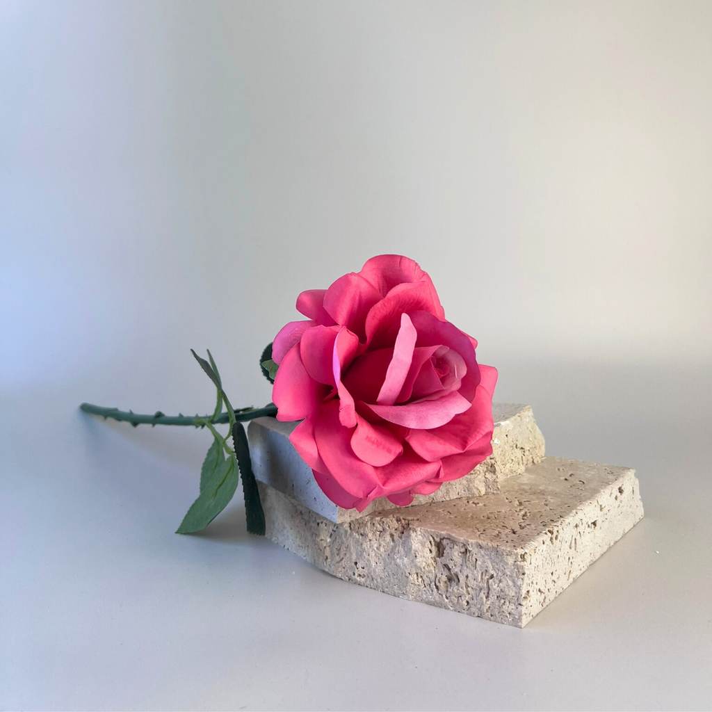 Artificial hot pink rose positioned on two stones focused on the blooms 