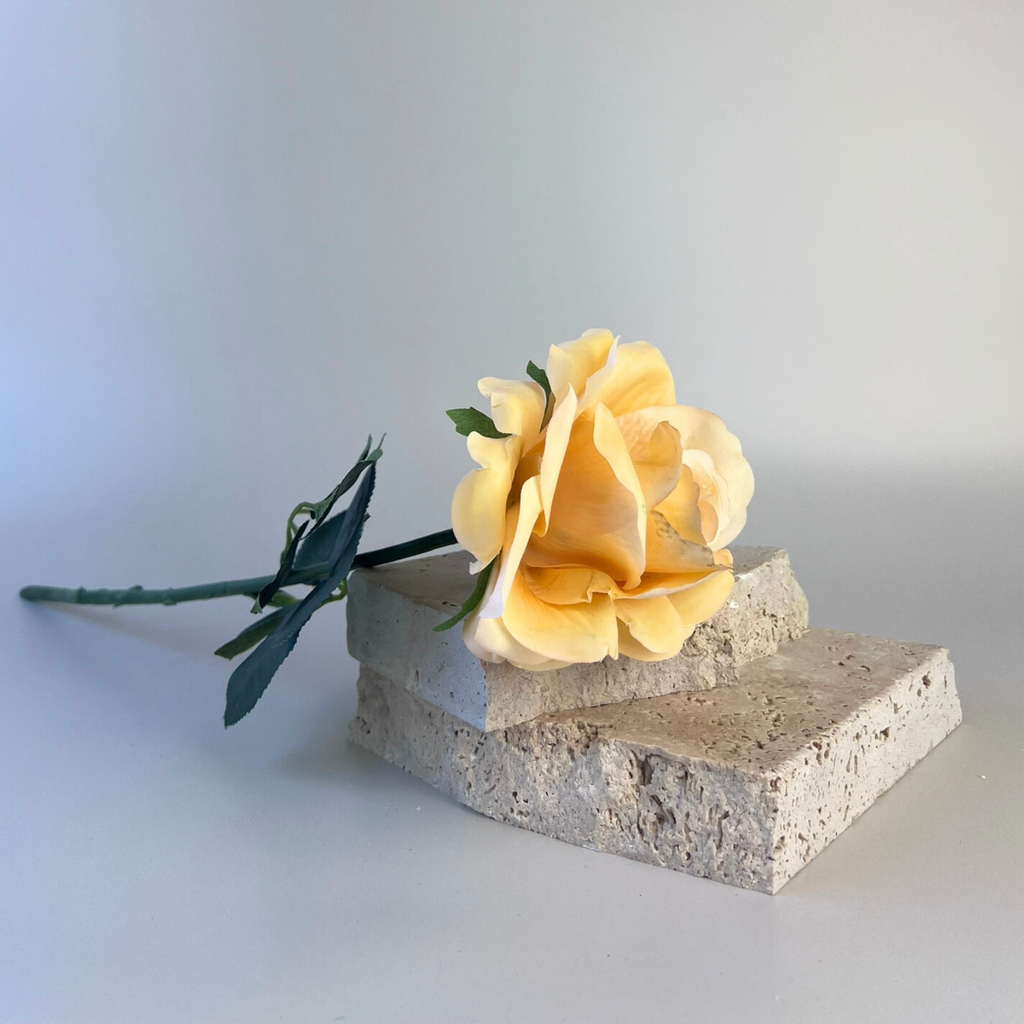 Carefully positioned burnt yellow artificial rose, on top of two stones slightly angled 