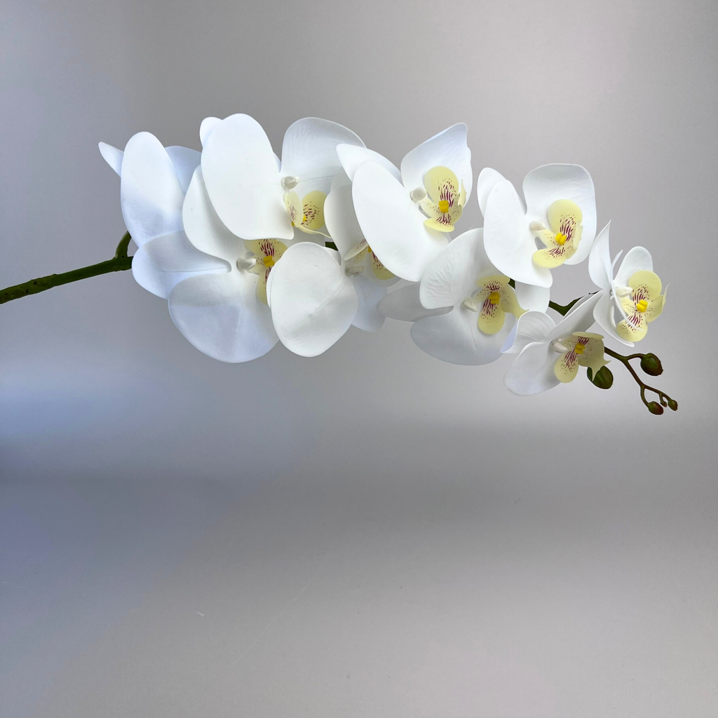 Artificial orchid phalaenopsis naturally falling to desired placing 