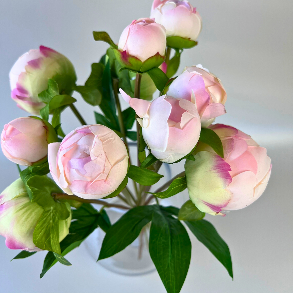 Birds-eye-view of peony bouquet with vibrant lifelike blooms 