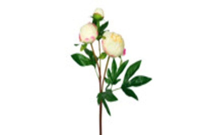 Real Touch Peony Spray - Cream