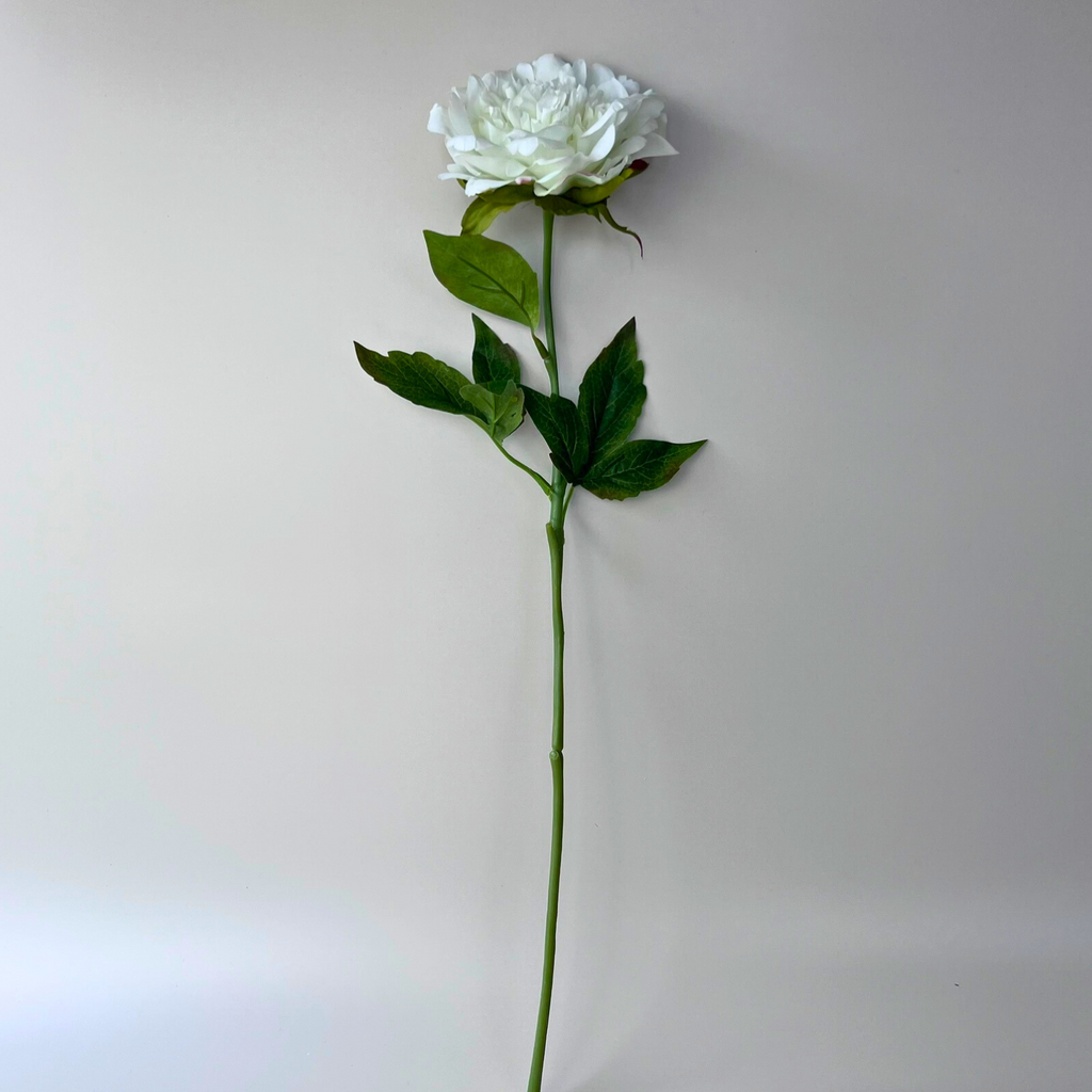 White artificial Peony rose upright with the stem and leaves showing