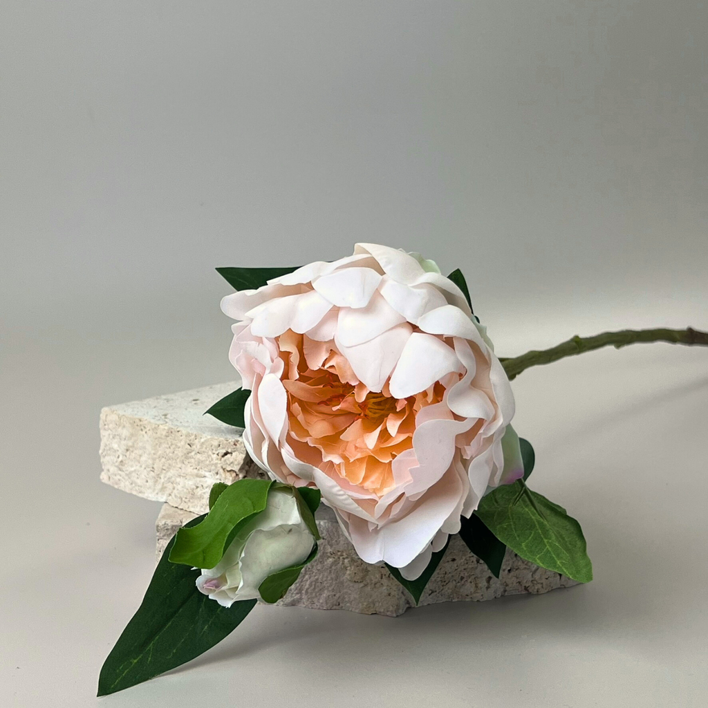 Close up of a Real Touch Peony with light peach petals and green foliage laying on decorative stones.