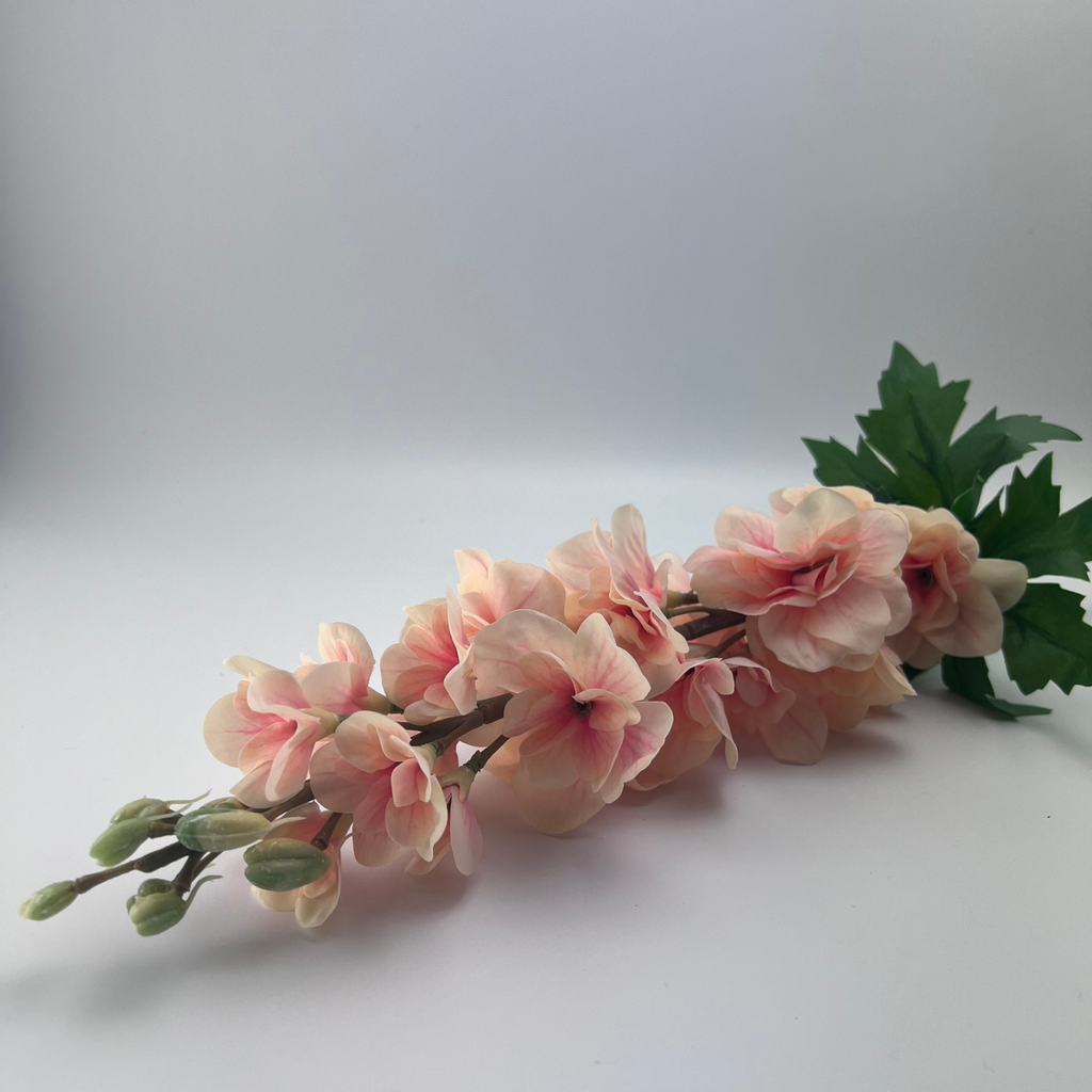 Close up of a Real Touch Delphinium with realistic peach petals and green foliage on a plain background.