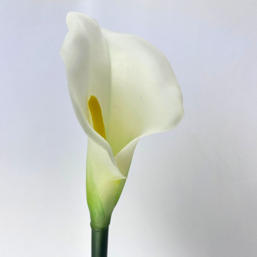 Close up of a White Calla Lily with a vibrant green stem against a plain background.