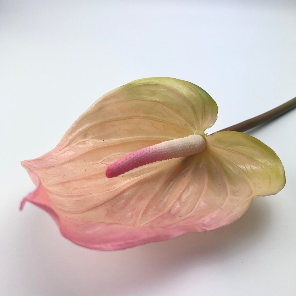 Close up of a Real Touch Anthurium that has a large, heart shaped pink bloom with realistic veins and a glossy finish