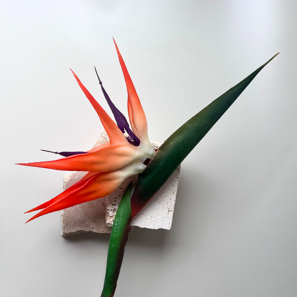 Orange and green artificial birds of paradise styled on rocks 