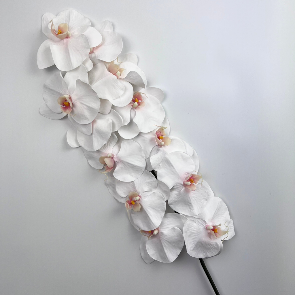 Orchid Premium Real Touch White Pink Core