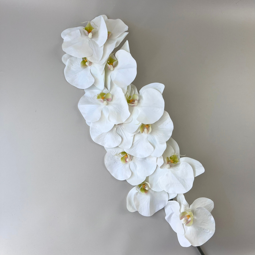 Phalaenopsis Orchid 12 Stems Real Touch White Yellow Core