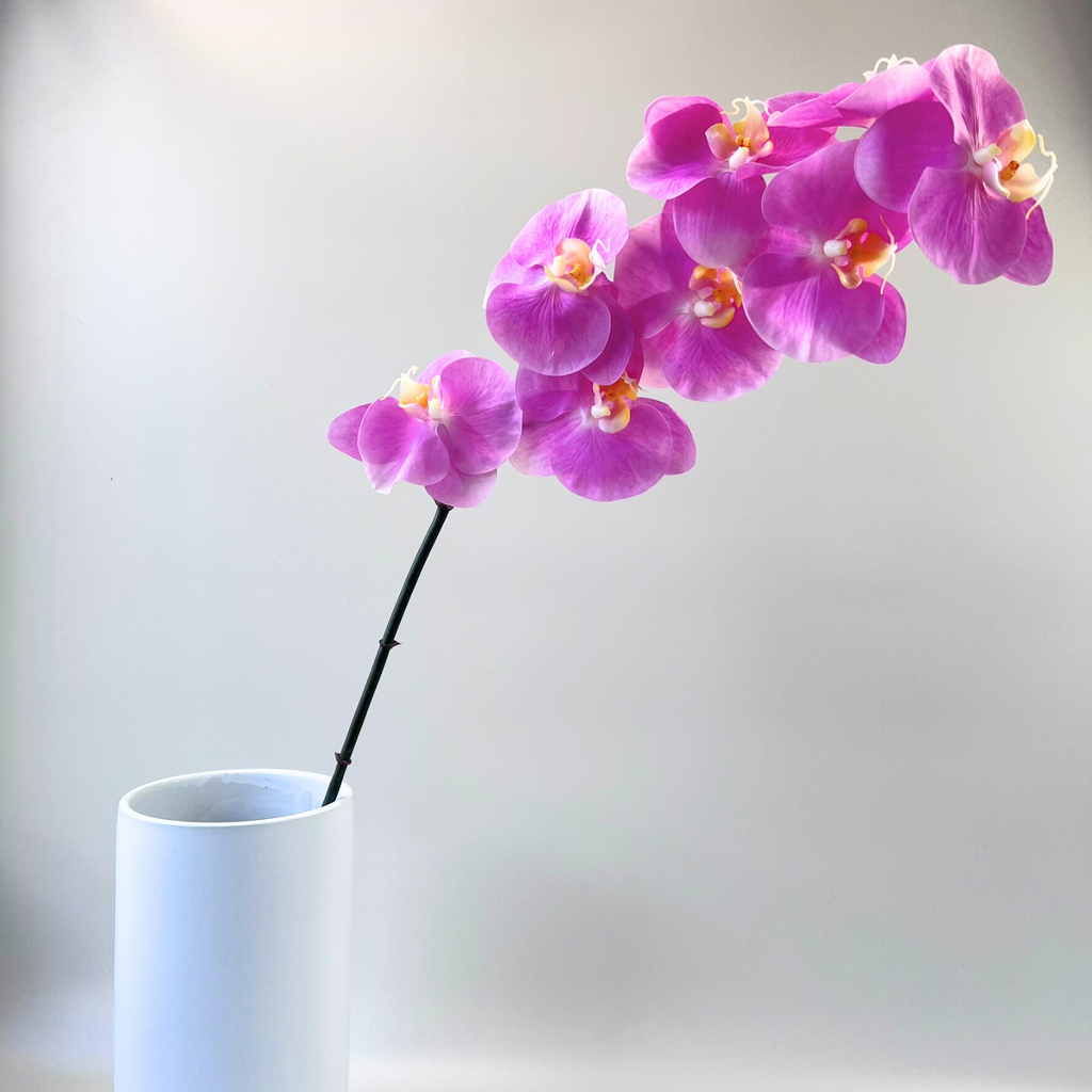 Premium 8 Bloom Orchid Bright pink