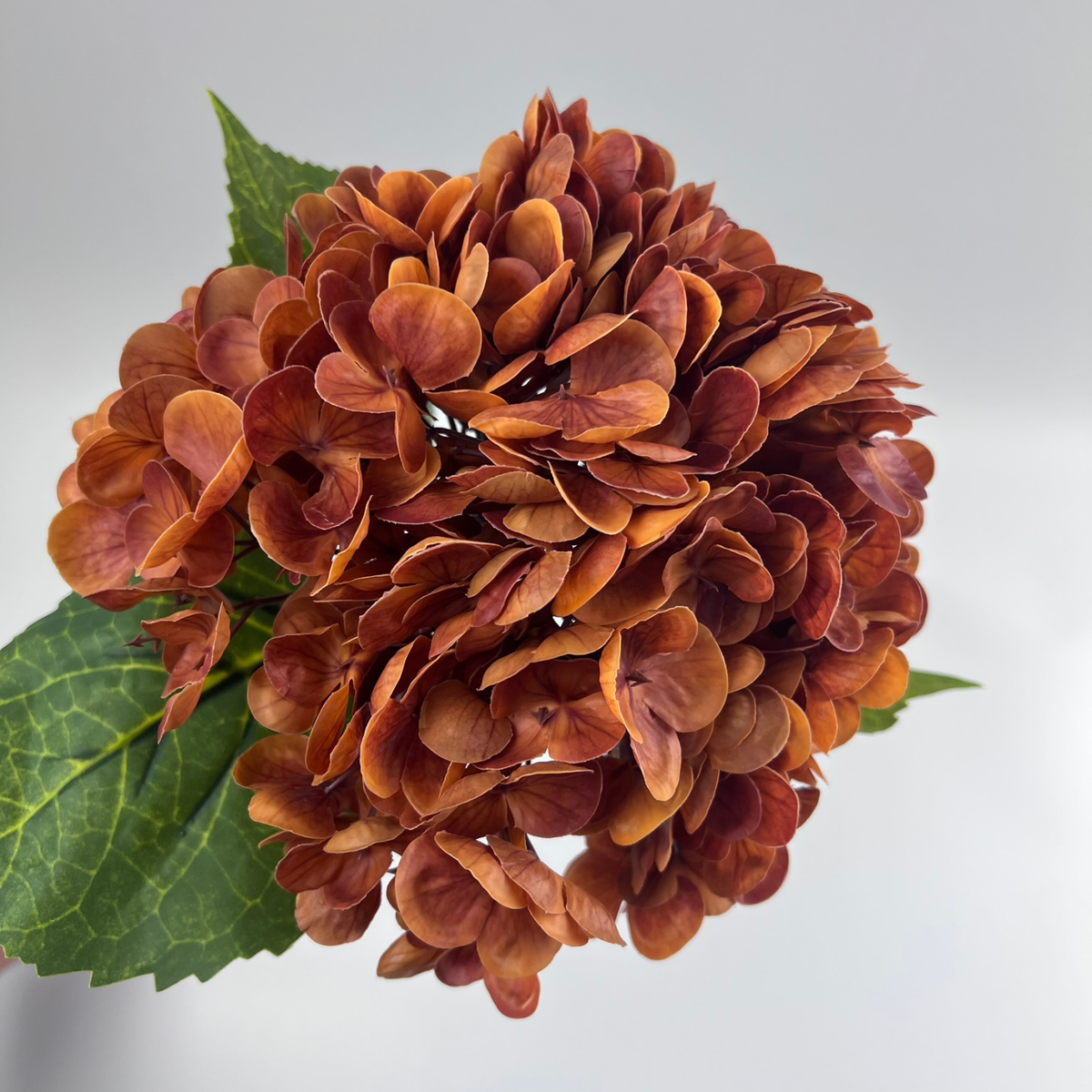 Real Touch Garden Hydrangea - Burnt Orange – HG Living Co